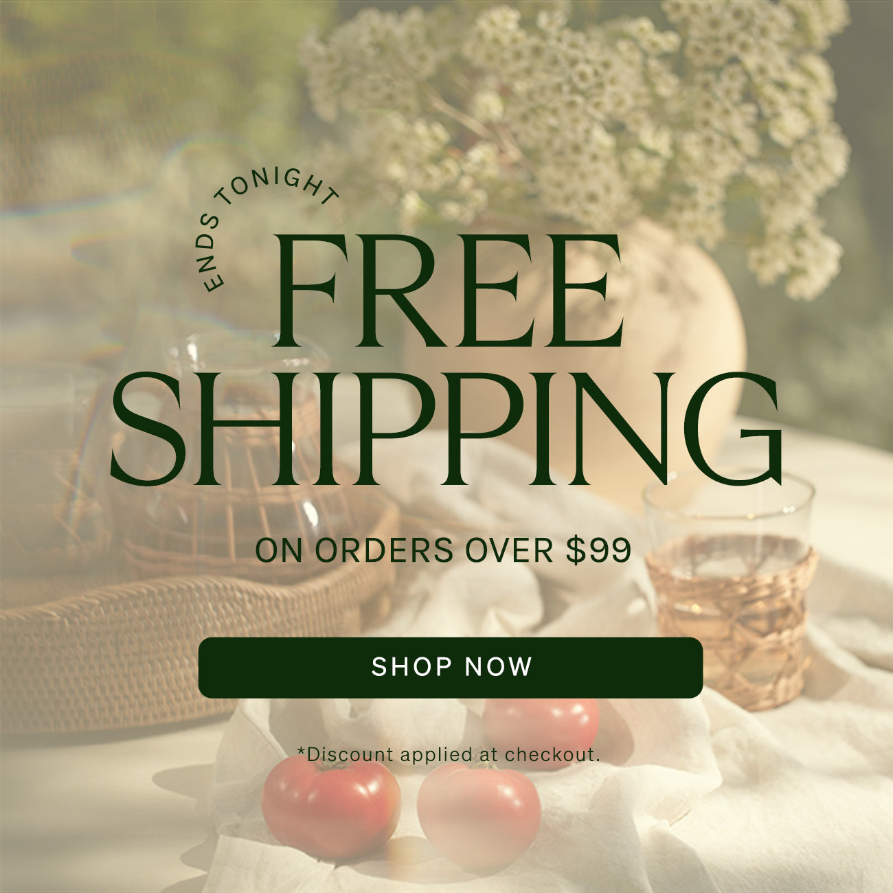 Ends Soon: Free Shipping On Orders over $99