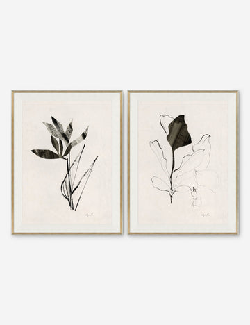 Noir I & II Print by Yuki Osada (Set of 2)