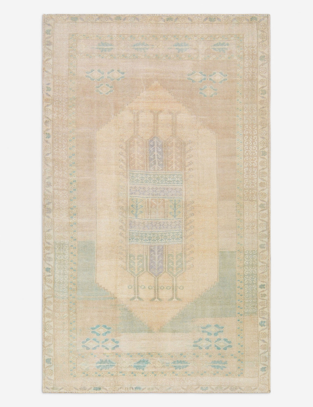 50.5×78 \