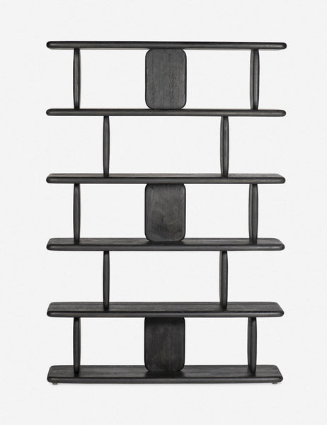#color::black | Nera black solid wood sculptural bookcase