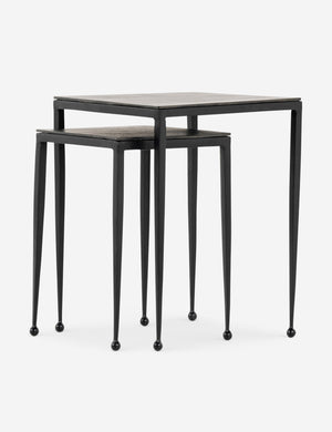 Soares Nesting Side Tables (Set of 2)