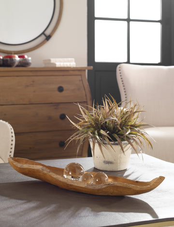 #color::natural | Yuma low-profile, decorative teak wood centerpiece bowl styled on a coffee table with a plant.