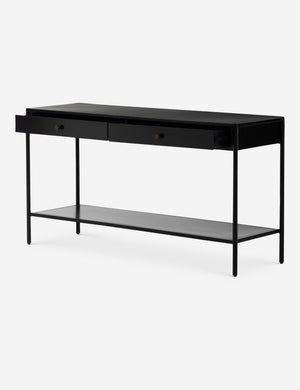 Atus Console Table Mathus Storage Console Table