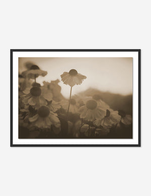 Daybreak Dream II Photography Print by Getty Images