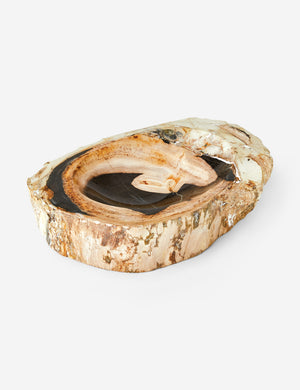 Arriaga petrified wood bowl.
