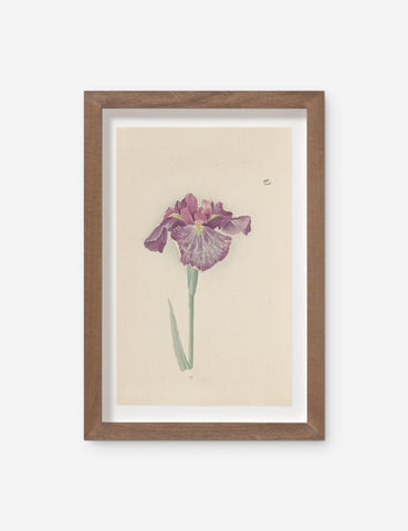 Vintage + One-of-A-Kind Wall Art