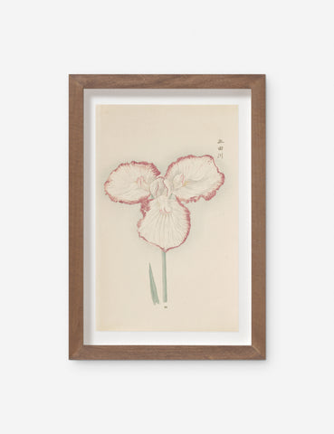 Vintage + One-of-A-Kind Wall Art