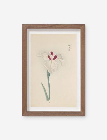 Vintage + One-of-A-Kind Wall Art