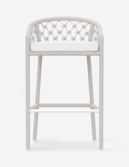 #color::white