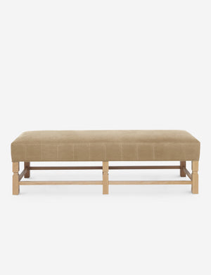Ambleside Brie beige Velvet upholstered bench with carved detailing on the frame and vertical channeling around the cushion by Ginny Macdonald