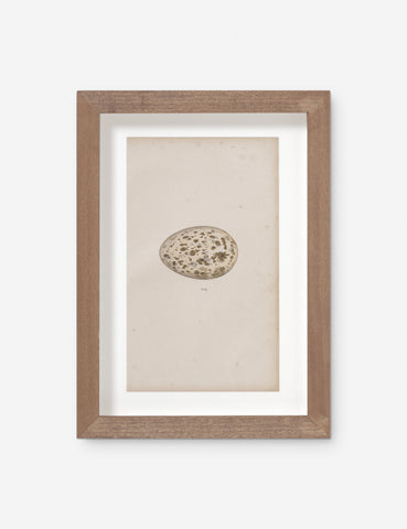 Vintage + One-of-A-Kind Wall Art