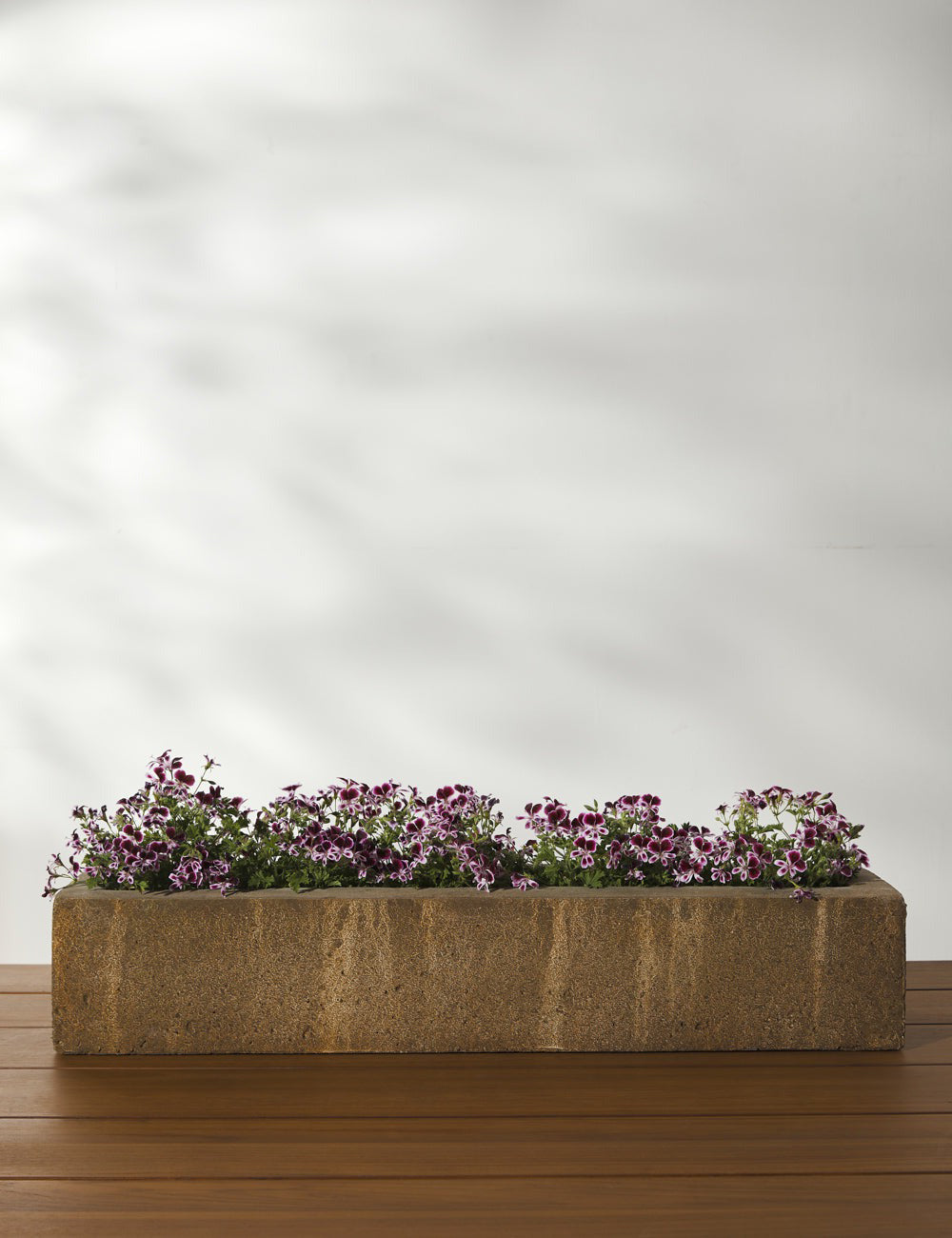 Basic Element Long Planter by Campania International by Lulu and Georgia