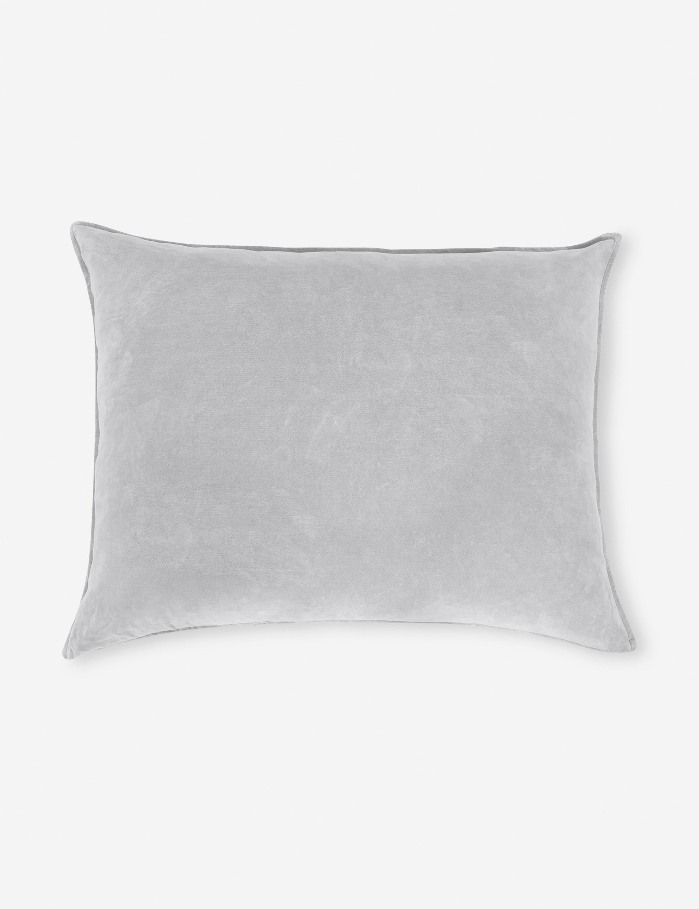 #color::light-gray
