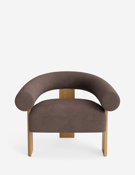 #color::chocolate-vintage-velvet