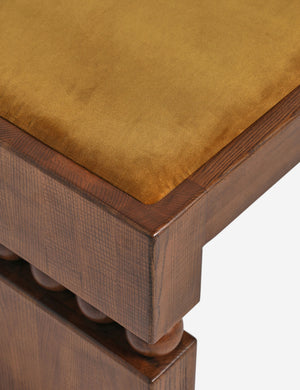 Ceiba Bench by Carly Cushnie