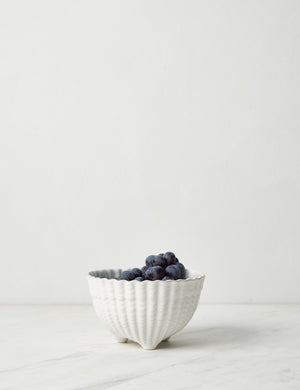 Aparte white footed bowl with shell inspired design by Costa Nova