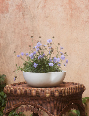 Dempsy low sculptural small planter by Sarah Sherman Samuel in Eggshell filled with flowers.