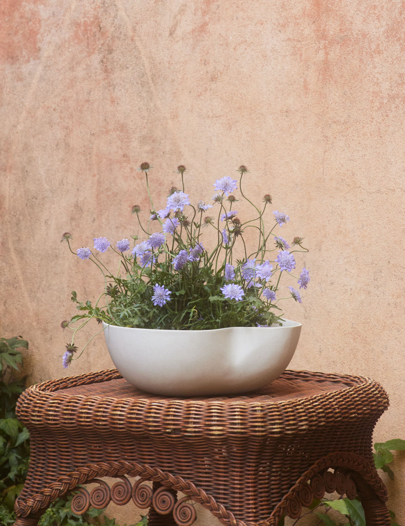 #color::eggshell #style::small | Dempsy low sculptural small planter by Sarah Sherman Samuel in Eggshell filled with flowers.