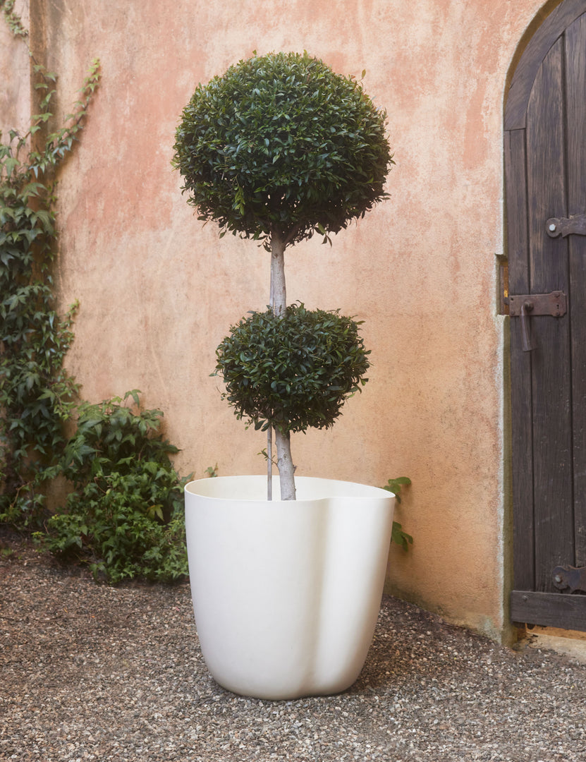 #color::eggshell #style::large | Dempsy large sculptural planter by Sarah Sherman Samuel in Eggshell filled with a potted plant.