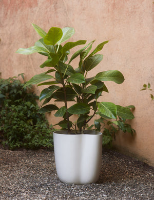 Dempsy small sculptural planter by Sarah Sherman Samuel in Eggshell filled with a potted plant.