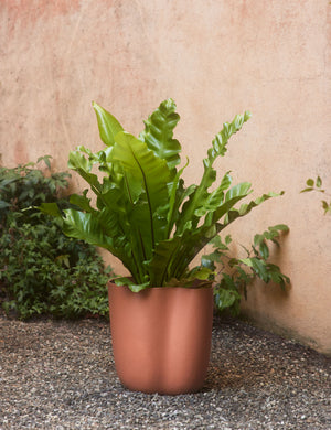 Dempsy small sculptural planter by Sarah Sherman Samuel in Sienna filled with a potted plant.