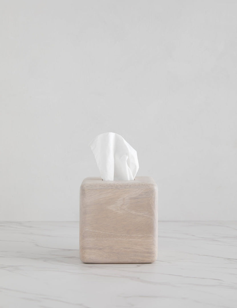 #style::tissue-holder