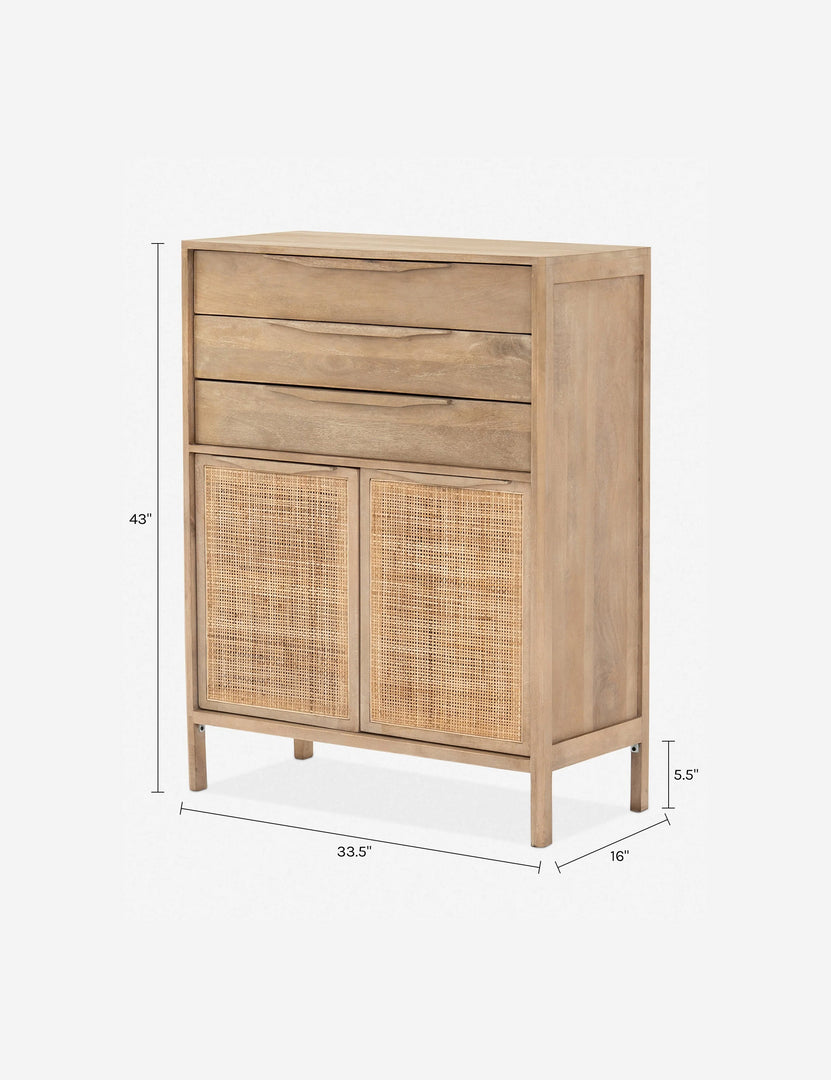 Four Hands - Sydney Tall Dresser - Black Wash