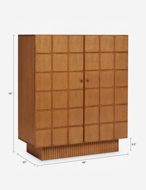 Lee Tall Dresser by Sarah Sherman Samuel : Vintage Brown