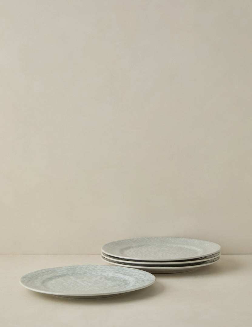 #color::gray #style::dinner-plates--set-of-4