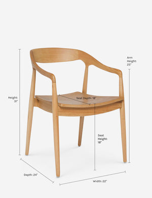 Dimensions on the Ida Dining Arm Chair