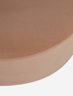 Close up of the Judson modern round velvet dining chair.