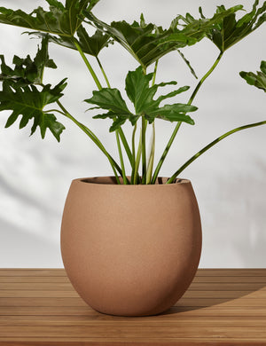 Kenna small rounded fiberstone planter with plant.