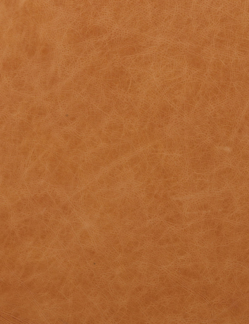 Orielle Leather Sofa