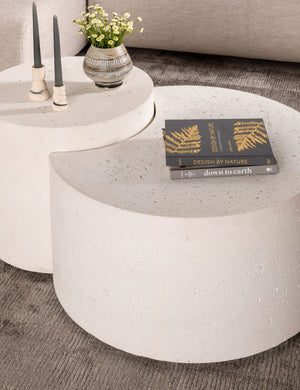 Barton Nesting Coffee Table (Set of 2)