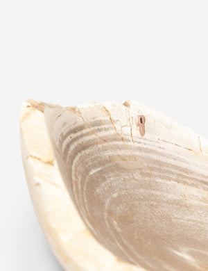 Noki Petrified Wood Bowl