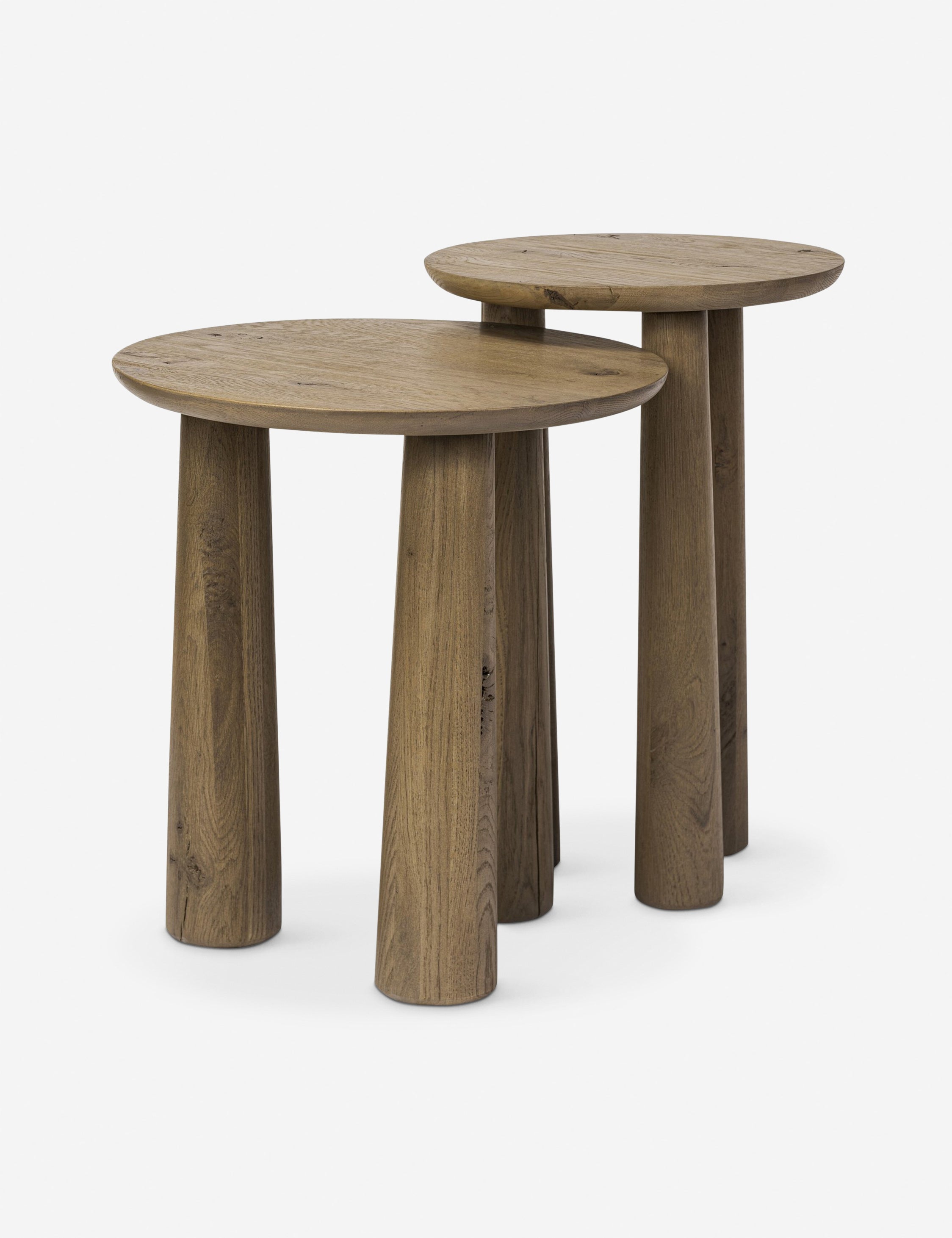 Venturi Nesting Side Tables (Set of 2)
