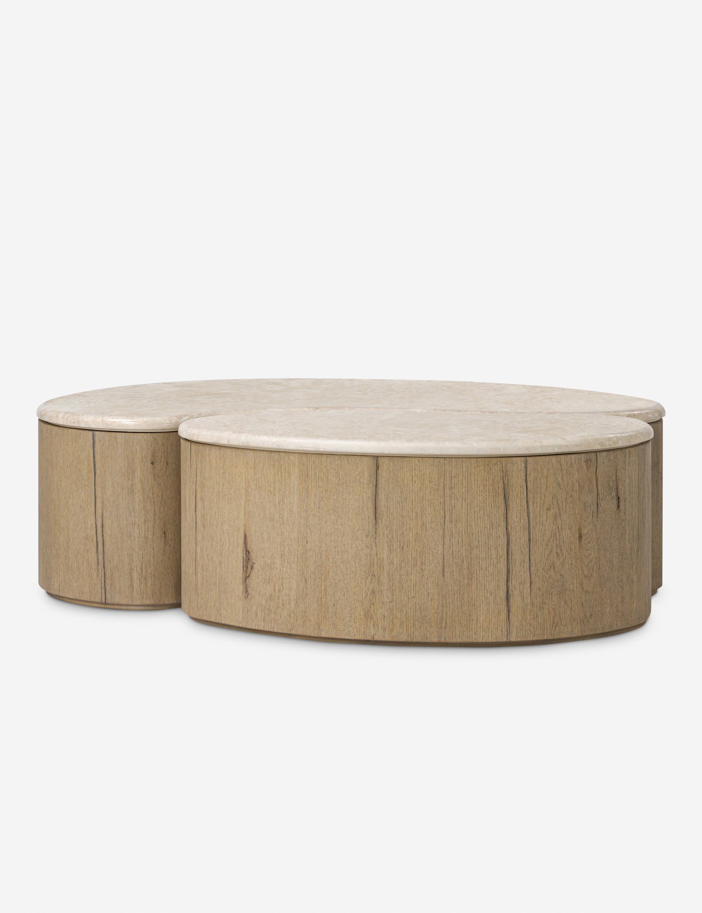 Lazaro Nesting Coffee Table (Set of 2) - Thumbnail 2