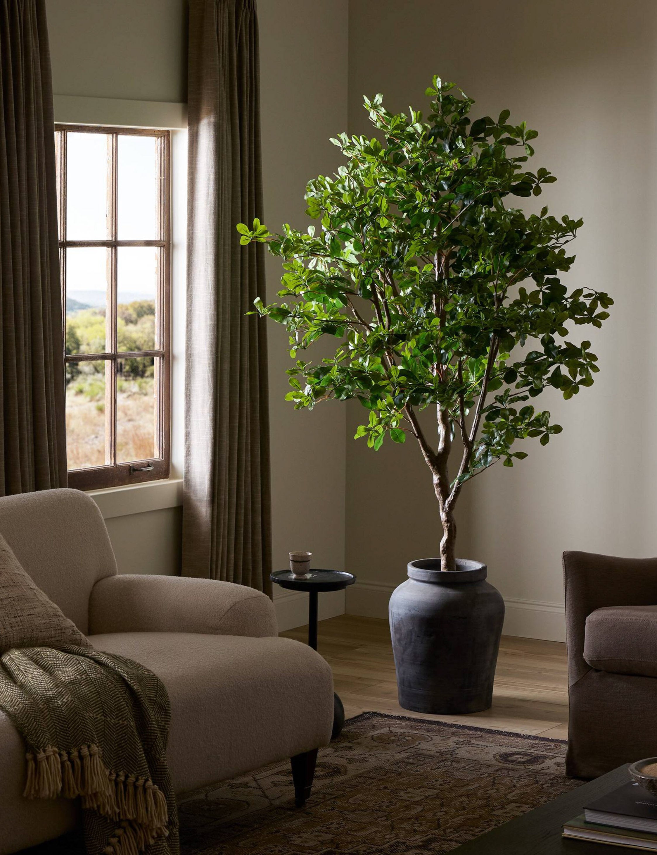 Faux Aralia Tree