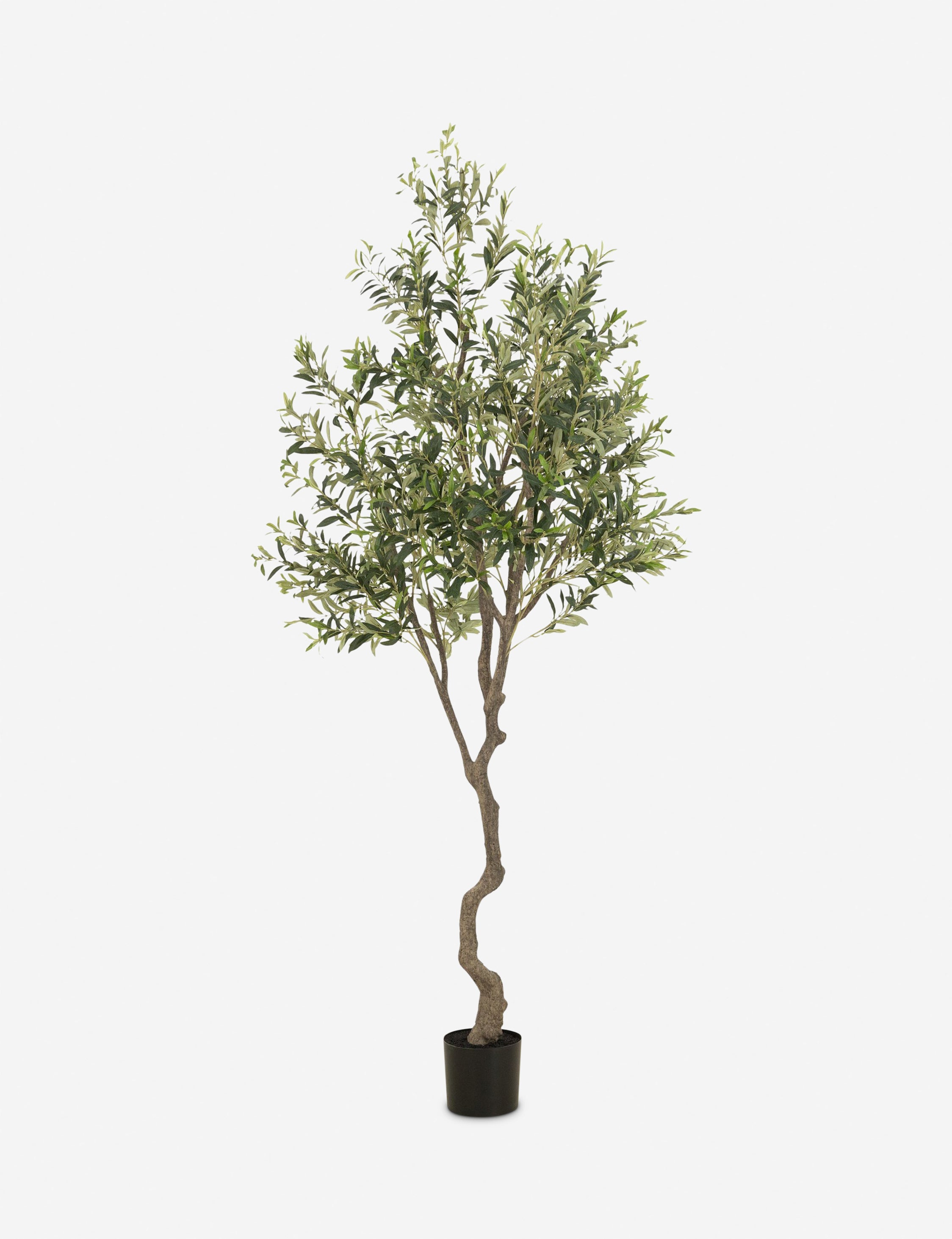 Faux Olive Tree