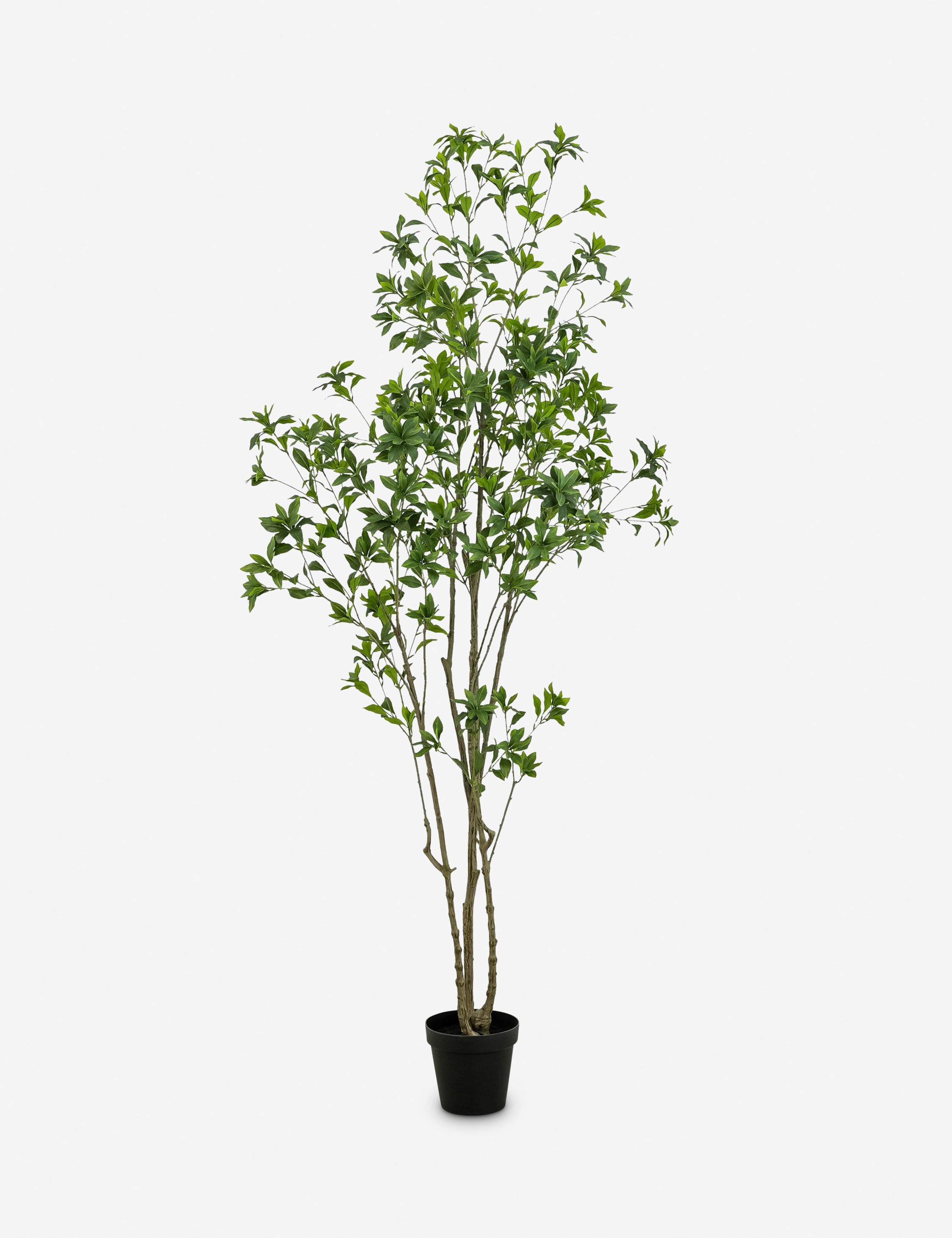 Faux Pieris Tree - Thumbnail 3