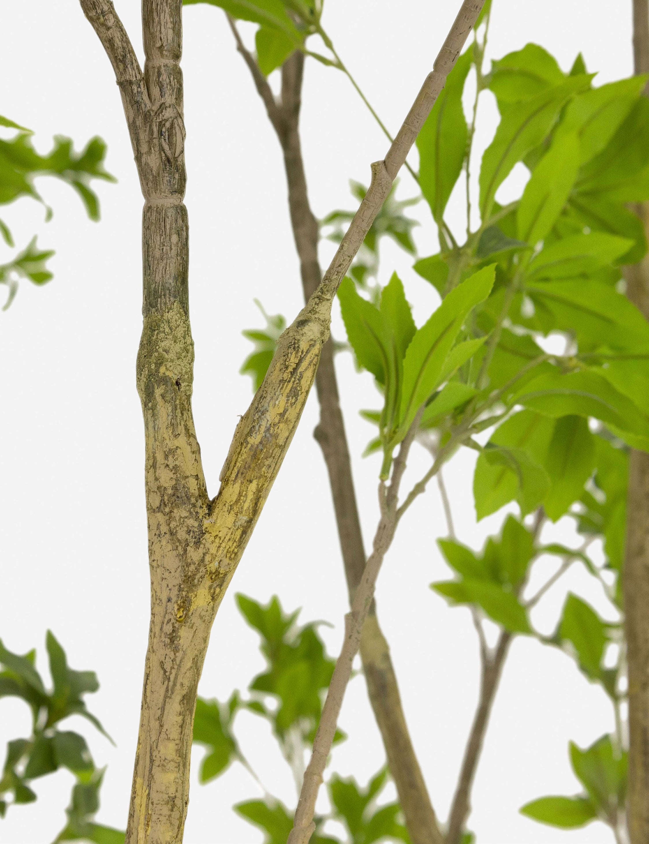 Faux Pieris Tree - Thumbnail 5