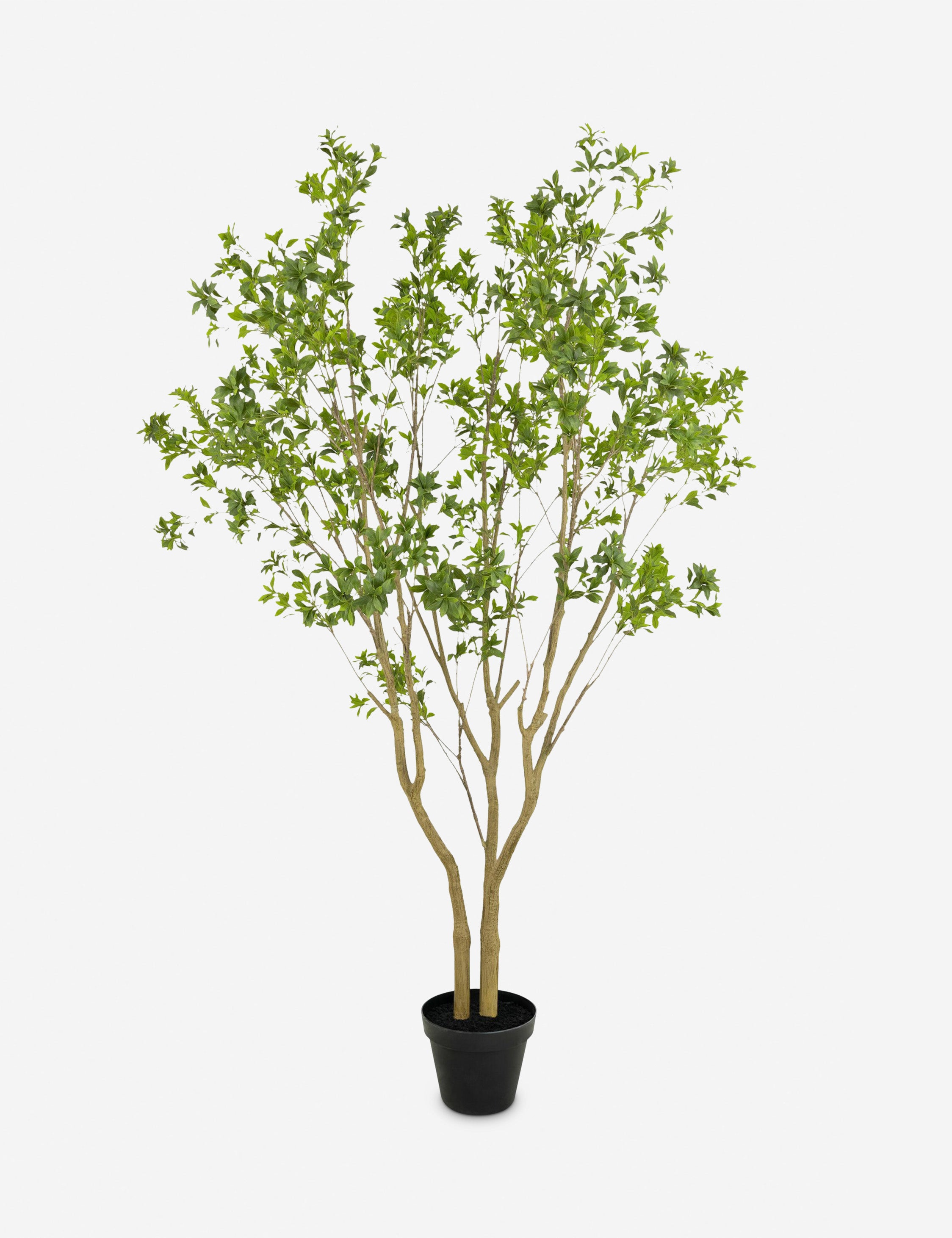 Faux Pieris Tree