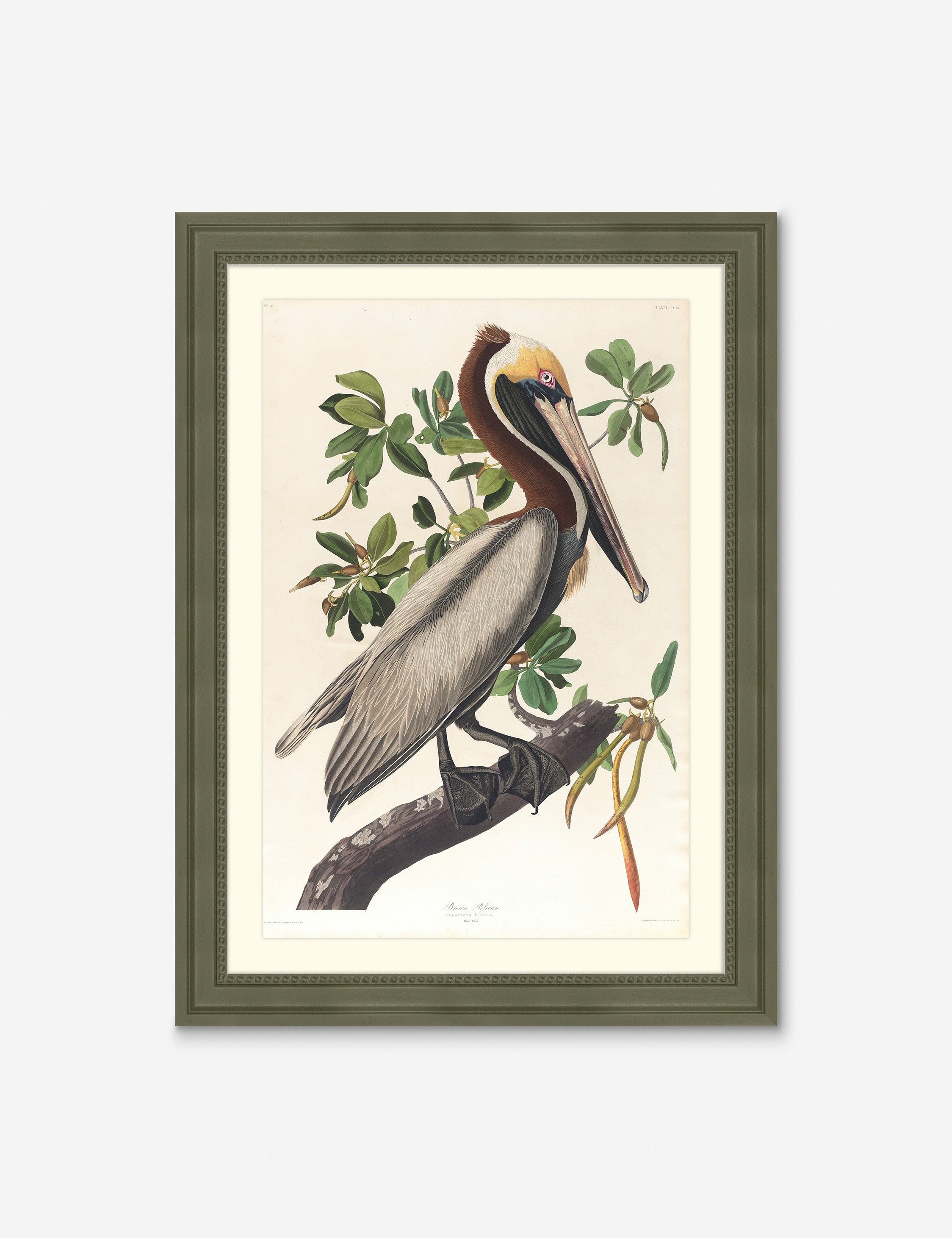 Wings of the Wild I Wall Art