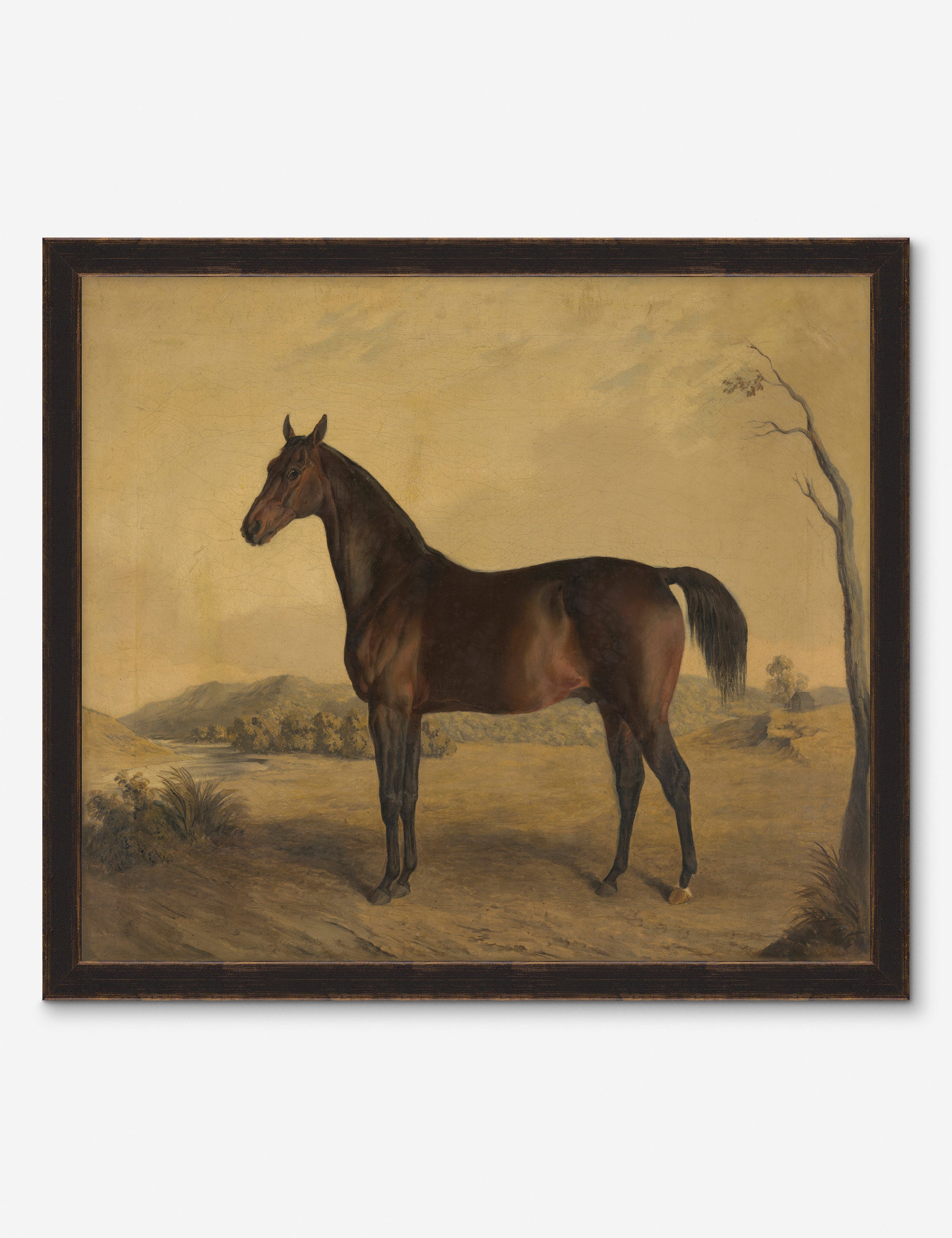 Horse II Wall Art