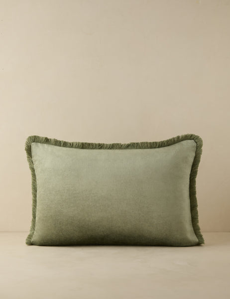 Brandis Velvet Pillow