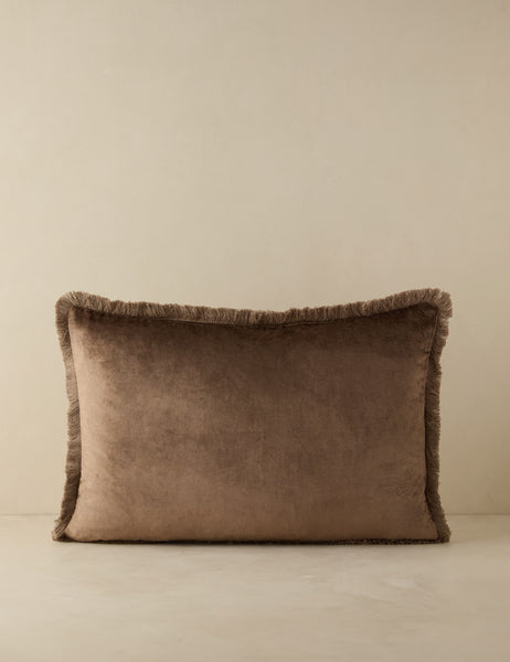 Brandis Velvet Pillow