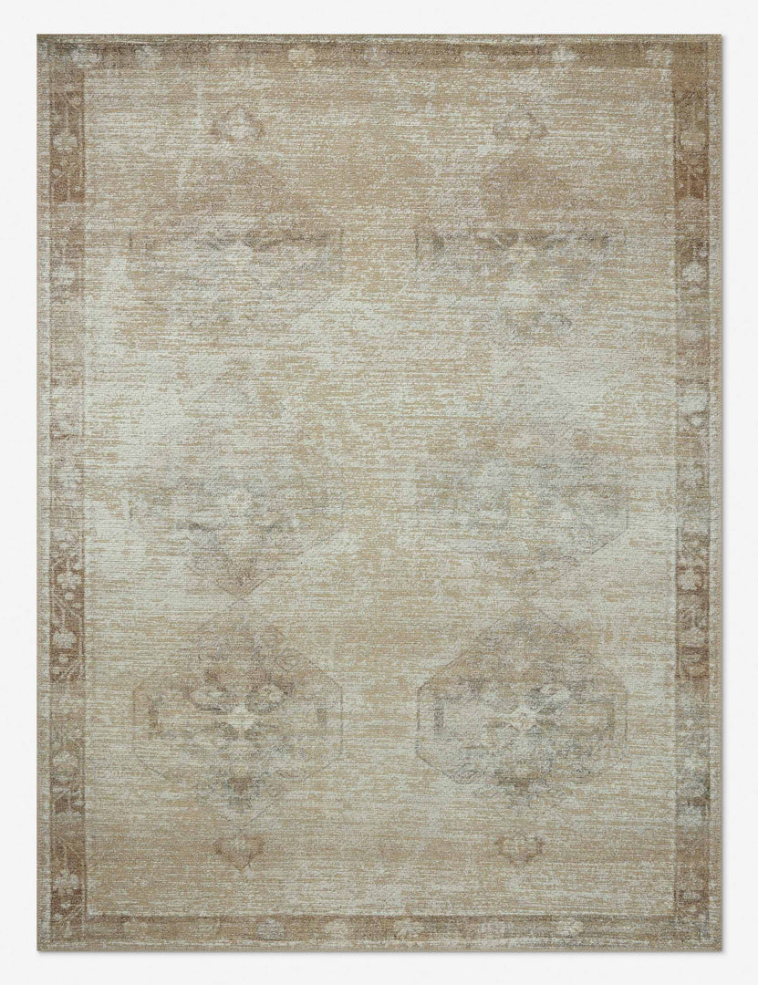 Cambria II Rug x Amber Lewis x Loloi