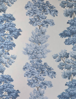 Central Park Cotton Fabric Swatch by Scalamandré, Light Blue