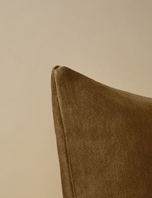 Corner of Charlotte Toast Brown Square Velvet Pillow