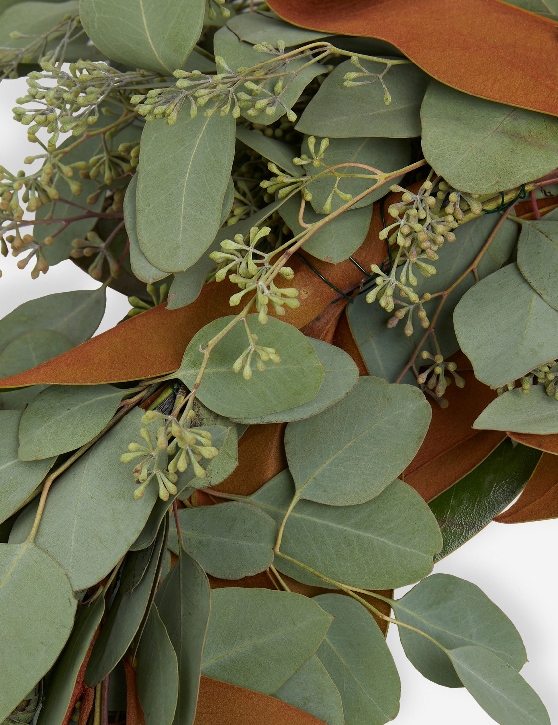 Fresh Handmade Magnolia and Seeded Eucalyptus Garland - Thumbnail 2